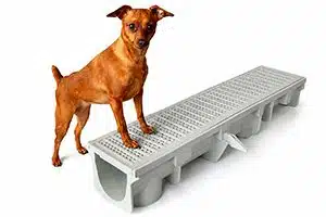 Swiftdrain-kennel-drain-side-vie-paw-proof